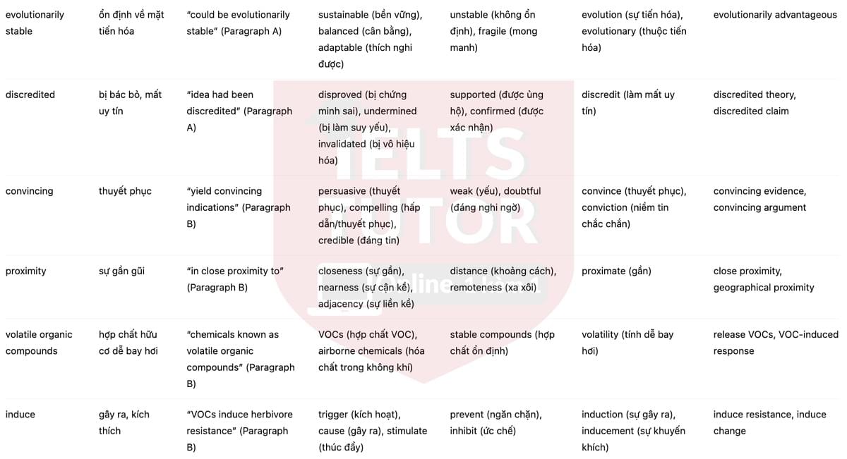 🔥How do plants talk to each other? Answers with location - Đề luyện tập IELTS READING- Làm bài online format computer-based, kèm đáp án, dịch & giải thích từ vựng - cấu trúc ngữ pháp khó 🔥How do plants talk to each other? Answers with location - Đề luyện tập IELTS READING- Làm bài online format computer-based, kèm đáp án, dịch & giải thích từ vựng - cấu trúc ngữ pháp khó