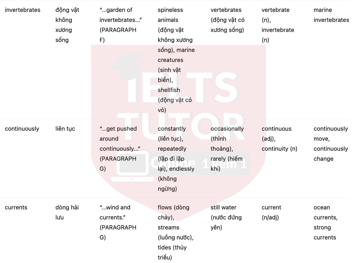 🔥The importance of icebergs to ocean life Answers with location - Đề luyện tập IELTS READING- Làm bài online format computer-based, kèm đáp án, dịch & giải thích từ vựng - cấu trúc ngữ pháp khó 🔥The importance of icebergs to ocean life Answers with location - Đề luyện tập IELTS READING- Làm bài online format computer-based, kèm đáp án, dịch & giải thích từ vựng - cấu trúc ngữ pháp khó