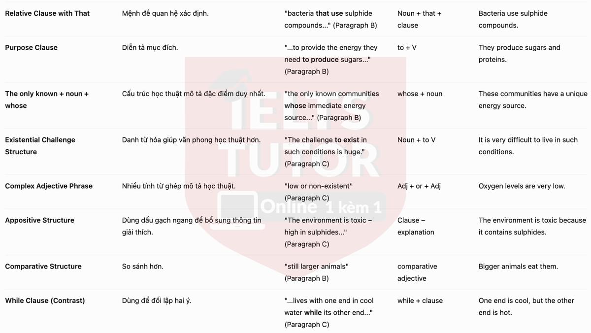 🔥Treasures of the deep Answers with location - Đề luyện tập IELTS READING- Làm bài online format computer-based, kèm đáp án, dịch & giải thích từ vựng - cấu trúc ngữ pháp khó 🔥Treasures of the deep Answers with location - Đề luyện tập IELTS READING- Làm bài online format computer-based, kèm đáp án, dịch & giải thích từ vựng - cấu trúc ngữ pháp khó