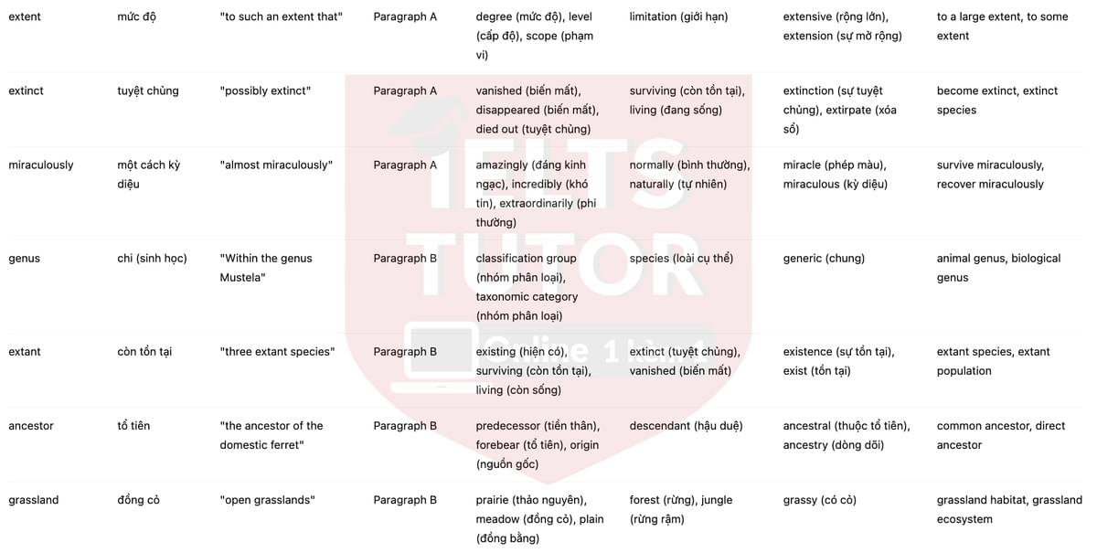 🔥The return of the black-footed ferret Answers with location - Đề luyện tập IELTS READING- Làm bài online format computer-based, kèm đáp án, dịch & giải thích từ vựng - cấu trúc ngữ pháp khó 🔥The return of the black-footed ferret Answers with location - Đề luyện tập IELTS READING- Làm bài online format computer-based, kèm đáp án, dịch & giải thích từ vựng - cấu trúc ngữ pháp khó