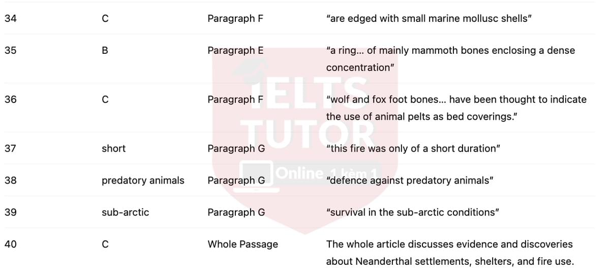 🔥Neanderthal Technology Answers with location - Đề luyện tập IELTS READING- Làm bài online format computer-based, kèm đáp án, dịch & giải thích từ vựng - cấu trúc ngữ pháp khó 🔥Neanderthal Technology Answers with location - Đề luyện tập IELTS READING- Làm bài online format computer-based, kèm đáp án, dịch & giải thích từ vựng - cấu trúc ngữ pháp khó