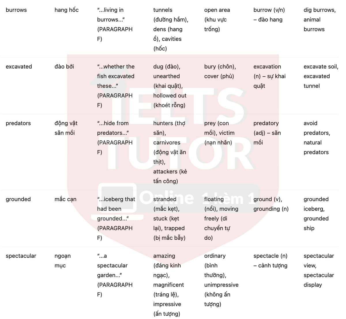 🔥The importance of icebergs to ocean life Answers with location - Đề luyện tập IELTS READING- Làm bài online format computer-based, kèm đáp án, dịch & giải thích từ vựng - cấu trúc ngữ pháp khó 🔥The importance of icebergs to ocean life Answers with location - Đề luyện tập IELTS READING- Làm bài online format computer-based, kèm đáp án, dịch & giải thích từ vựng - cấu trúc ngữ pháp khó