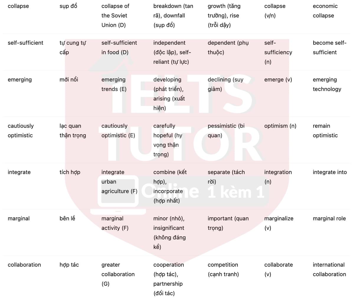 🔥Growing food in cities Answers with location - Đề luyện tập IELTS READING- Làm bài online format computer-based, kèm đáp án, dịch & giải thích từ vựng - cấu trúc ngữ pháp khó 🔥Growing food in cities Answers with location - Đề luyện tập IELTS READING- Làm bài online format computer-based, kèm đáp án, dịch & giải thích từ vựng - cấu trúc ngữ pháp khó