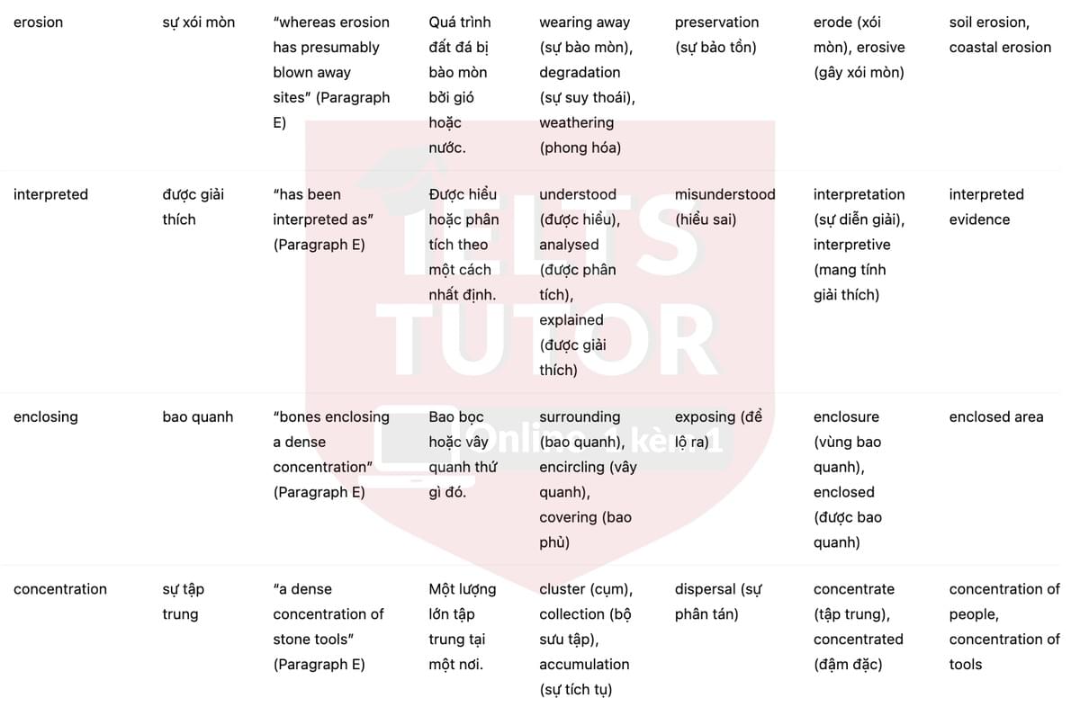 🔥Neanderthal Technology Answers with location - Đề luyện tập IELTS READING- Làm bài online format computer-based, kèm đáp án, dịch & giải thích từ vựng - cấu trúc ngữ pháp khó 🔥Neanderthal Technology Answers with location - Đề luyện tập IELTS READING- Làm bài online format computer-based, kèm đáp án, dịch & giải thích từ vựng - cấu trúc ngữ pháp khó