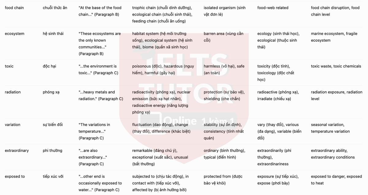 🔥Treasures of the deep Answers with location - Đề luyện tập IELTS READING- Làm bài online format computer-based, kèm đáp án, dịch & giải thích từ vựng - cấu trúc ngữ pháp khó 🔥Treasures of the deep Answers with location - Đề luyện tập IELTS READING- Làm bài online format computer-based, kèm đáp án, dịch & giải thích từ vựng - cấu trúc ngữ pháp khó