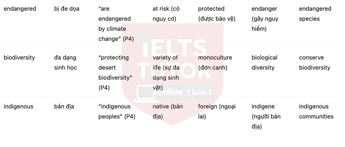 🔥Deserts and Desert Life Answers with location - Đề luyện tập IELTS READING- Làm bài online format computer-based, kèm đáp án, dịch & giải thích từ vựng - cấu trúc ngữ pháp khó 🔥Deserts and Desert Life Answers with location - Đề luyện tập IELTS READING- Làm bài online format computer-based, kèm đáp án, dịch & giải thích từ vựng - cấu trúc ngữ pháp khó