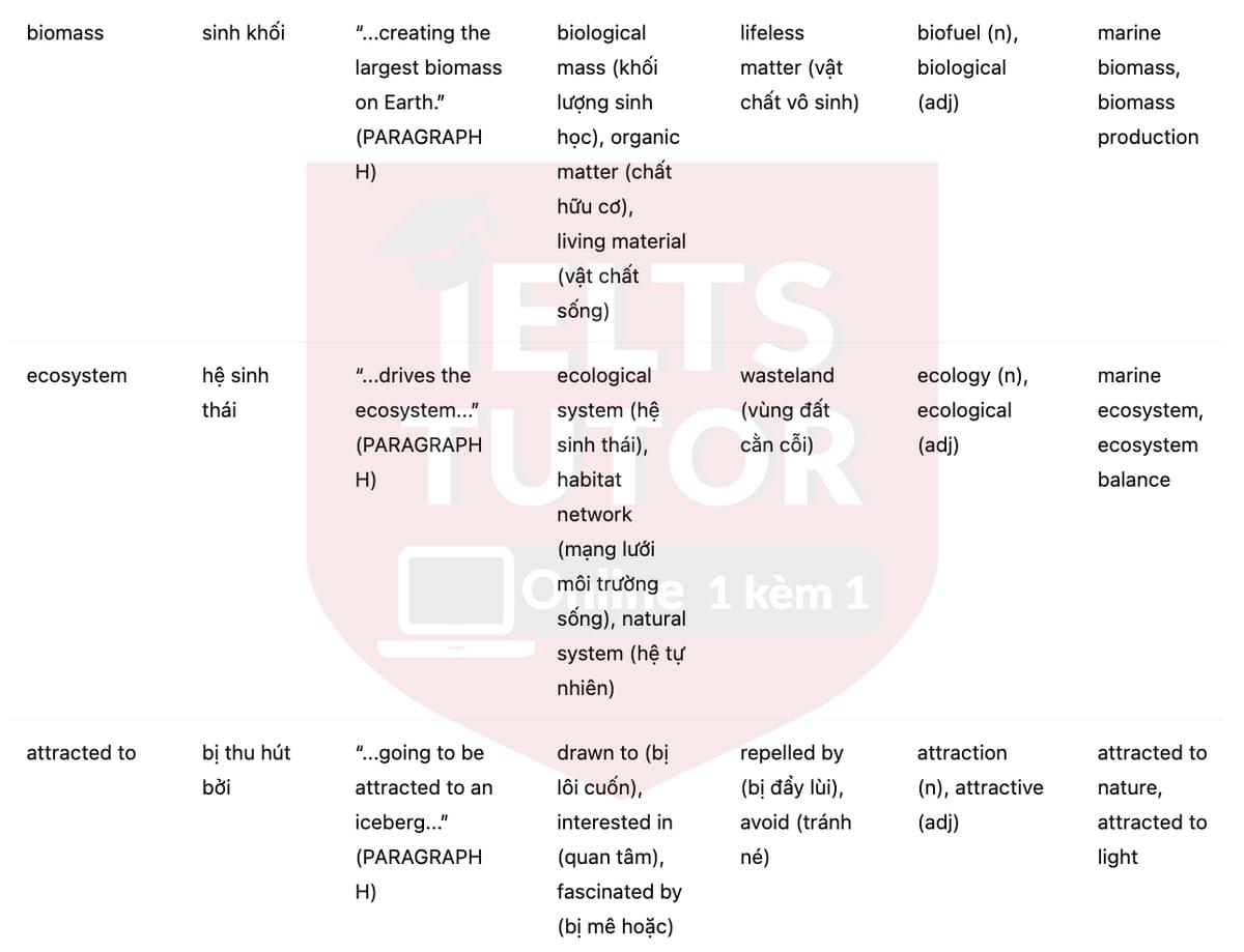 🔥The importance of icebergs to ocean life Answers with location - Đề luyện tập IELTS READING- Làm bài online format computer-based, kèm đáp án, dịch & giải thích từ vựng - cấu trúc ngữ pháp khó 🔥The importance of icebergs to ocean life Answers with location - Đề luyện tập IELTS READING- Làm bài online format computer-based, kèm đáp án, dịch & giải thích từ vựng - cấu trúc ngữ pháp khó