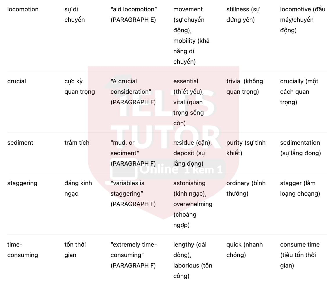 🔥Walking With Dinosaurs Answers with location - Đề luyện tập IELTS READING- Làm bài online format computer-based, kèm đáp án, dịch & giải thích từ vựng - cấu trúc ngữ pháp khó 🔥Walking With Dinosaurs Answers with location - Đề luyện tập IELTS READING- Làm bài online format computer-based, kèm đáp án, dịch & giải thích từ vựng - cấu trúc ngữ pháp khó