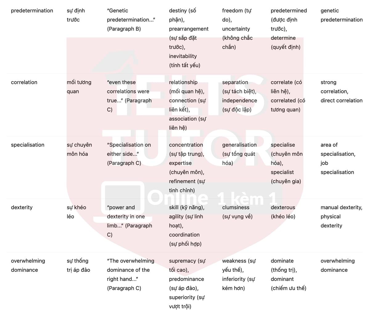 🔥Left-handed or Right-handed? Answers with location - Đề luyện tập IELTS READING- Làm bài online format computer-based, kèm đáp án, dịch & giải thích từ vựng - cấu trúc ngữ pháp khó 🔥Left-handed or Right-handed? Answers with location - Đề luyện tập IELTS READING- Làm bài online format computer-based, kèm đáp án, dịch & giải thích từ vựng - cấu trúc ngữ pháp khó