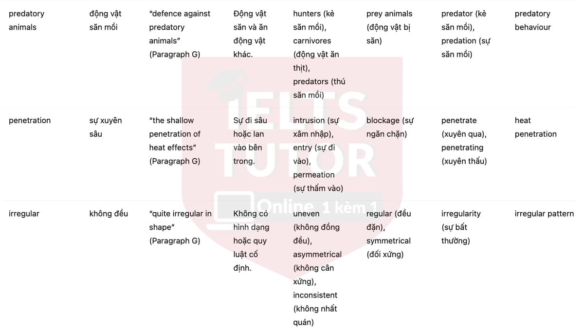 🔥Neanderthal Technology Answers with location - Đề luyện tập IELTS READING- Làm bài online format computer-based, kèm đáp án, dịch & giải thích từ vựng - cấu trúc ngữ pháp khó 🔥Neanderthal Technology Answers with location - Đề luyện tập IELTS READING- Làm bài online format computer-based, kèm đáp án, dịch & giải thích từ vựng - cấu trúc ngữ pháp khó