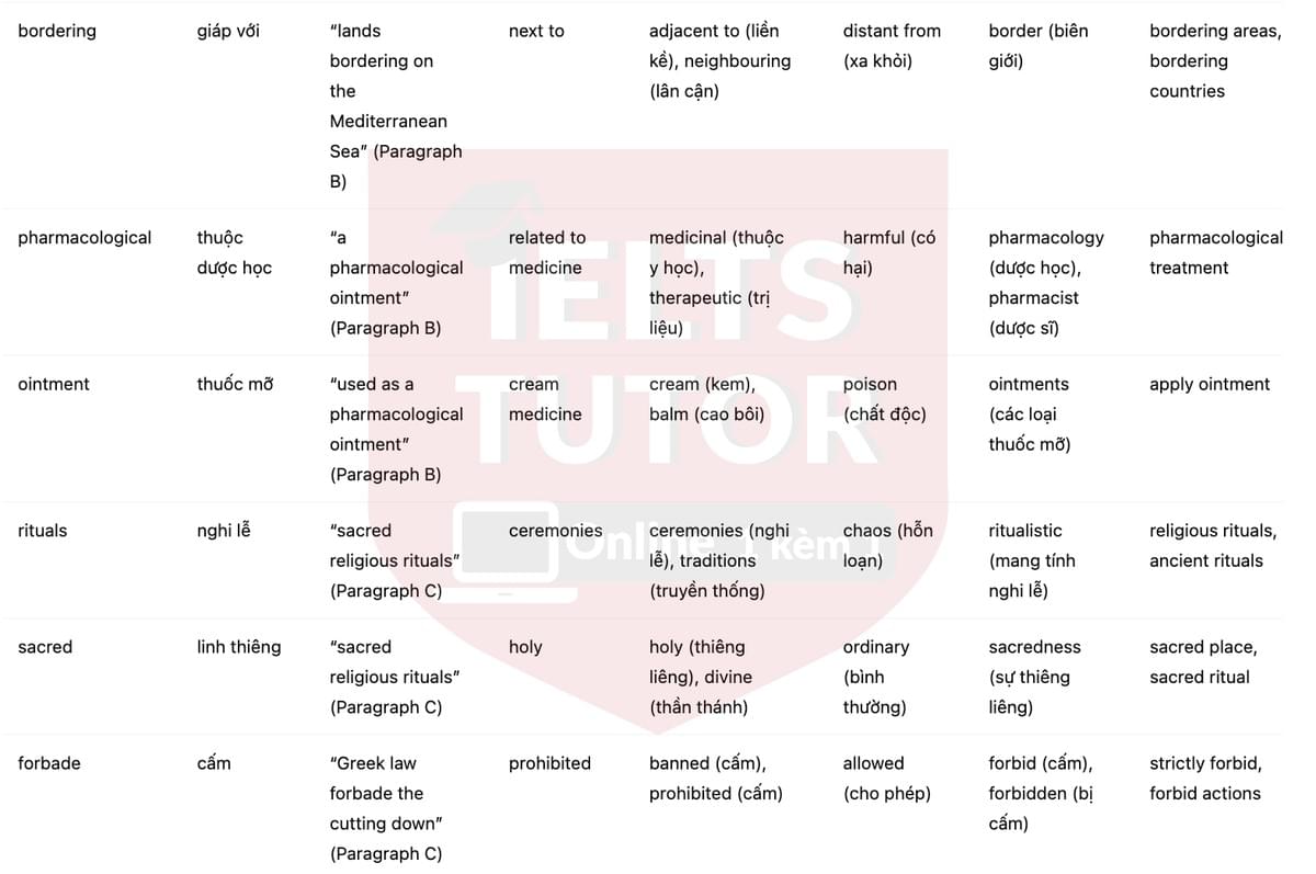 🔥The Early History of Olive Oil Answers with location - Đề luyện tập IELTS READING- Làm bài online format computer-based, kèm đáp án, dịch & giải thích từ vựng - cấu trúc ngữ pháp khó 🔥The Early History of Olive Oil Answers with location - Đề luyện tập IELTS READING- Làm bài online format computer-based, kèm đáp án, dịch & giải thích từ vựng - cấu trúc ngữ pháp khó