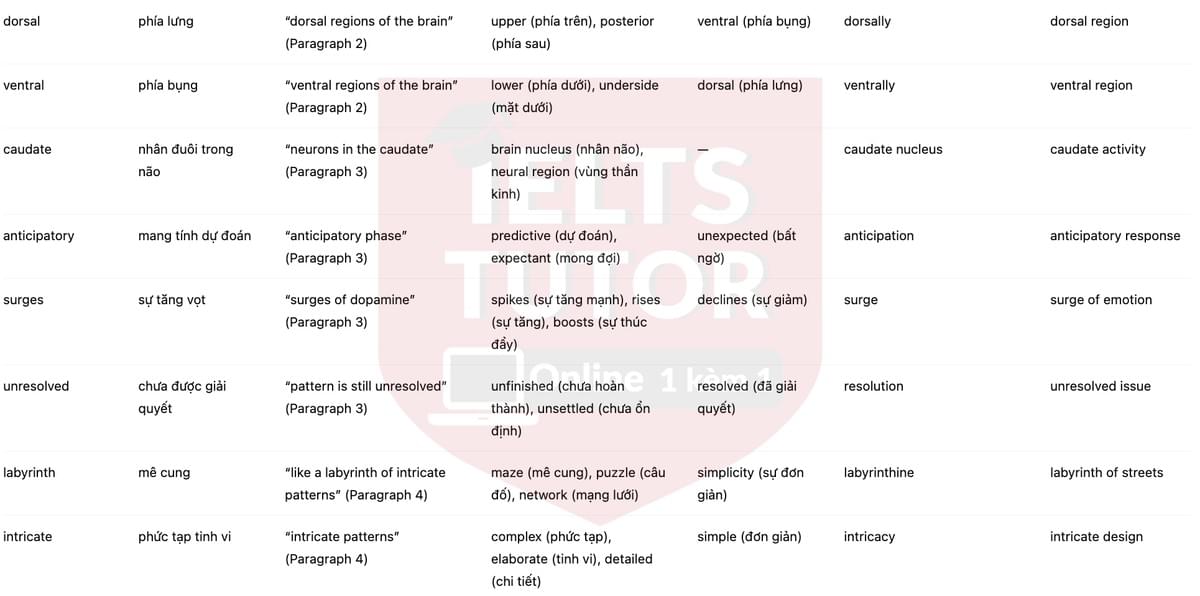 🔥Why do we love music? / Why does music make us feel? Answers with location - Đề luyện tập IELTS READING- Làm bài online format computer-based, kèm đáp án, dịch & giải thích từ vựng - cấu trúc ngữ pháp khó 🔥Why do we love music? / Why does music make us feel? Answers with location - Đề luyện tập IELTS READING- Làm bài online format computer-based, kèm đáp án, dịch & giải thích từ vựng - cấu trúc ngữ pháp khó