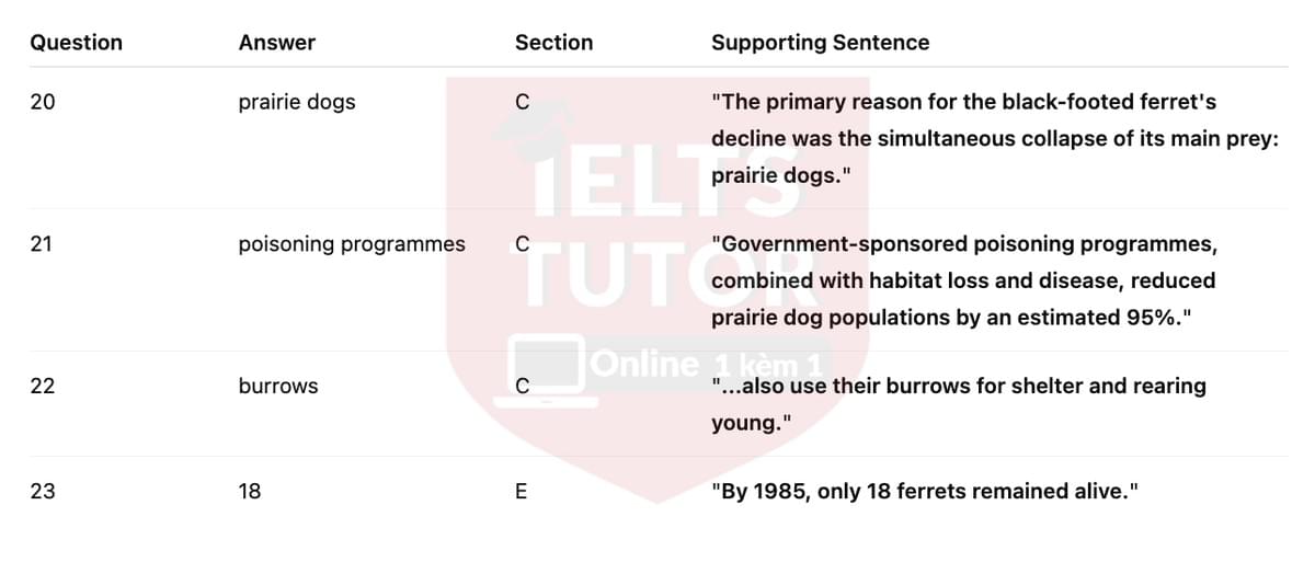 🔥The return of the black-footed ferret Answers with location - Đề luyện tập IELTS READING- Làm bài online format computer-based, kèm đáp án, dịch & giải thích từ vựng - cấu trúc ngữ pháp khó 🔥The return of the black-footed ferret Answers with location - Đề luyện tập IELTS READING- Làm bài online format computer-based, kèm đáp án, dịch & giải thích từ vựng - cấu trúc ngữ pháp khó