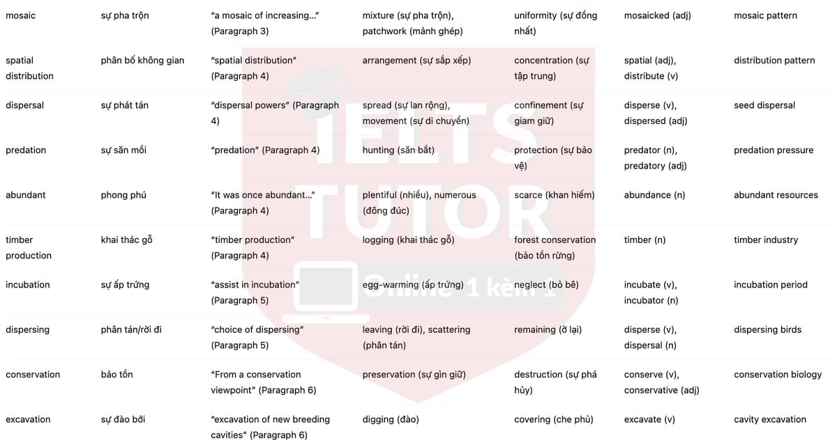 🔥The Conservation of Rare Species Answers with location - Đề luyện tập IELTS READING- Làm bài online format computer-based, kèm đáp án, dịch & giải thích từ vựng - cấu trúc ngữ pháp khó 🔥The Conservation of Rare Species Answers with location - Đề luyện tập IELTS READING- Làm bài online format computer-based, kèm đáp án, dịch & giải thích từ vựng - cấu trúc ngữ pháp khó