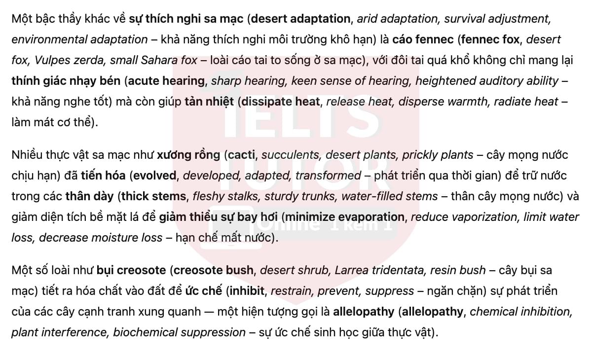 🔥Deserts and Desert Life Answers with location - Đề luyện tập IELTS READING- Làm bài online format computer-based, kèm đáp án, dịch & giải thích từ vựng - cấu trúc ngữ pháp khó 🔥Deserts and Desert Life Answers with location - Đề luyện tập IELTS READING- Làm bài online format computer-based, kèm đáp án, dịch & giải thích từ vựng - cấu trúc ngữ pháp khó