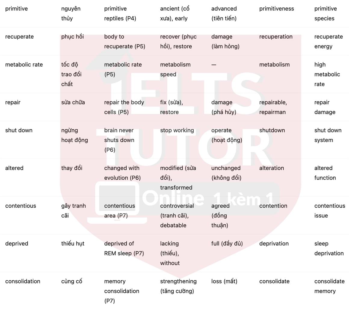 🔥The science of sleep Answers with location - Đề luyện tập IELTS READING- Làm bài online format computer-based, kèm đáp án, dịch & giải thích từ vựng - cấu trúc ngữ pháp khó 🔥The science of sleep Answers with location - Đề luyện tập IELTS READING- Làm bài online format computer-based, kèm đáp án, dịch & giải thích từ vựng - cấu trúc ngữ pháp khó