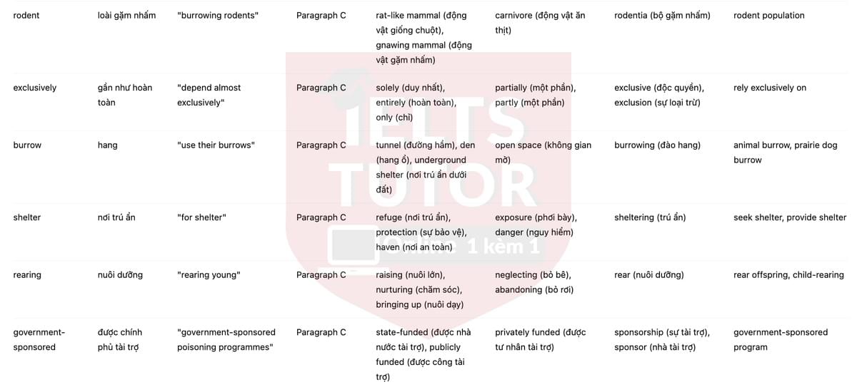 🔥The return of the black-footed ferret Answers with location - Đề luyện tập IELTS READING- Làm bài online format computer-based, kèm đáp án, dịch & giải thích từ vựng - cấu trúc ngữ pháp khó 🔥The return of the black-footed ferret Answers with location - Đề luyện tập IELTS READING- Làm bài online format computer-based, kèm đáp án, dịch & giải thích từ vựng - cấu trúc ngữ pháp khó