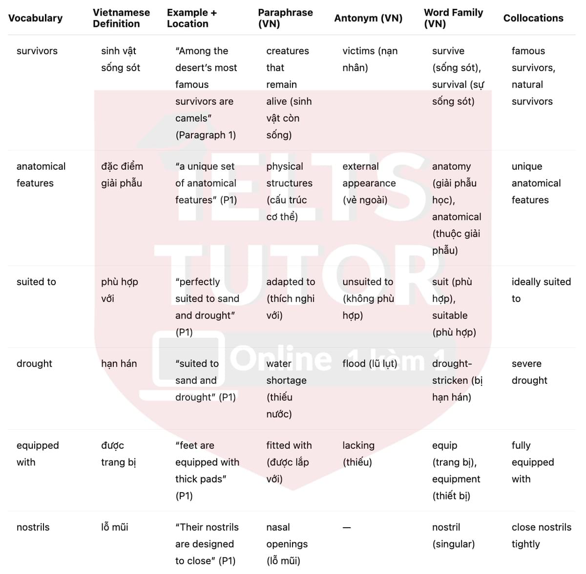 🔥Deserts and Desert Life Answers with location - Đề luyện tập IELTS READING- Làm bài online format computer-based, kèm đáp án, dịch & giải thích từ vựng - cấu trúc ngữ pháp khó 🔥Deserts and Desert Life Answers with location - Đề luyện tập IELTS READING- Làm bài online format computer-based, kèm đáp án, dịch & giải thích từ vựng - cấu trúc ngữ pháp khó