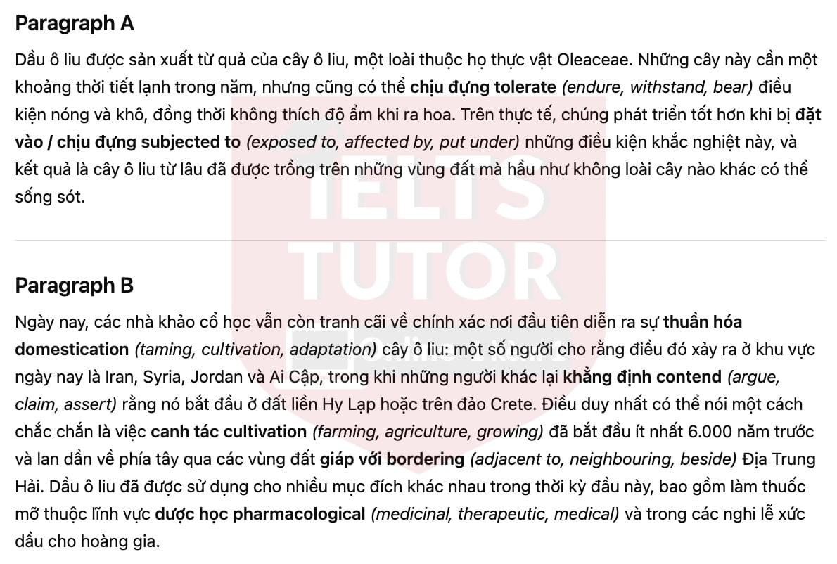 🔥The Early History of Olive Oil Answers with location - Đề luyện tập IELTS READING- Làm bài online format computer-based, kèm đáp án, dịch & giải thích từ vựng - cấu trúc ngữ pháp khó 🔥The Early History of Olive Oil Answers with location - Đề luyện tập IELTS READING- Làm bài online format computer-based, kèm đáp án, dịch & giải thích từ vựng - cấu trúc ngữ pháp khó