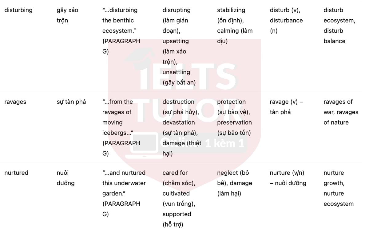 🔥The importance of icebergs to ocean life Answers with location - Đề luyện tập IELTS READING- Làm bài online format computer-based, kèm đáp án, dịch & giải thích từ vựng - cấu trúc ngữ pháp khó 🔥The importance of icebergs to ocean life Answers with location - Đề luyện tập IELTS READING- Làm bài online format computer-based, kèm đáp án, dịch & giải thích từ vựng - cấu trúc ngữ pháp khó