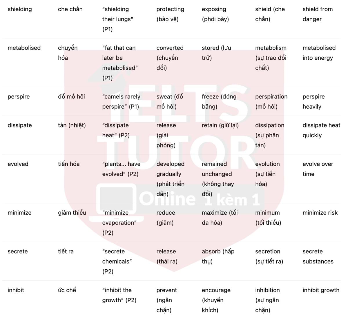 🔥Deserts and Desert Life Answers with location - Đề luyện tập IELTS READING- Làm bài online format computer-based, kèm đáp án, dịch & giải thích từ vựng - cấu trúc ngữ pháp khó 🔥Deserts and Desert Life Answers with location - Đề luyện tập IELTS READING- Làm bài online format computer-based, kèm đáp án, dịch & giải thích từ vựng - cấu trúc ngữ pháp khó