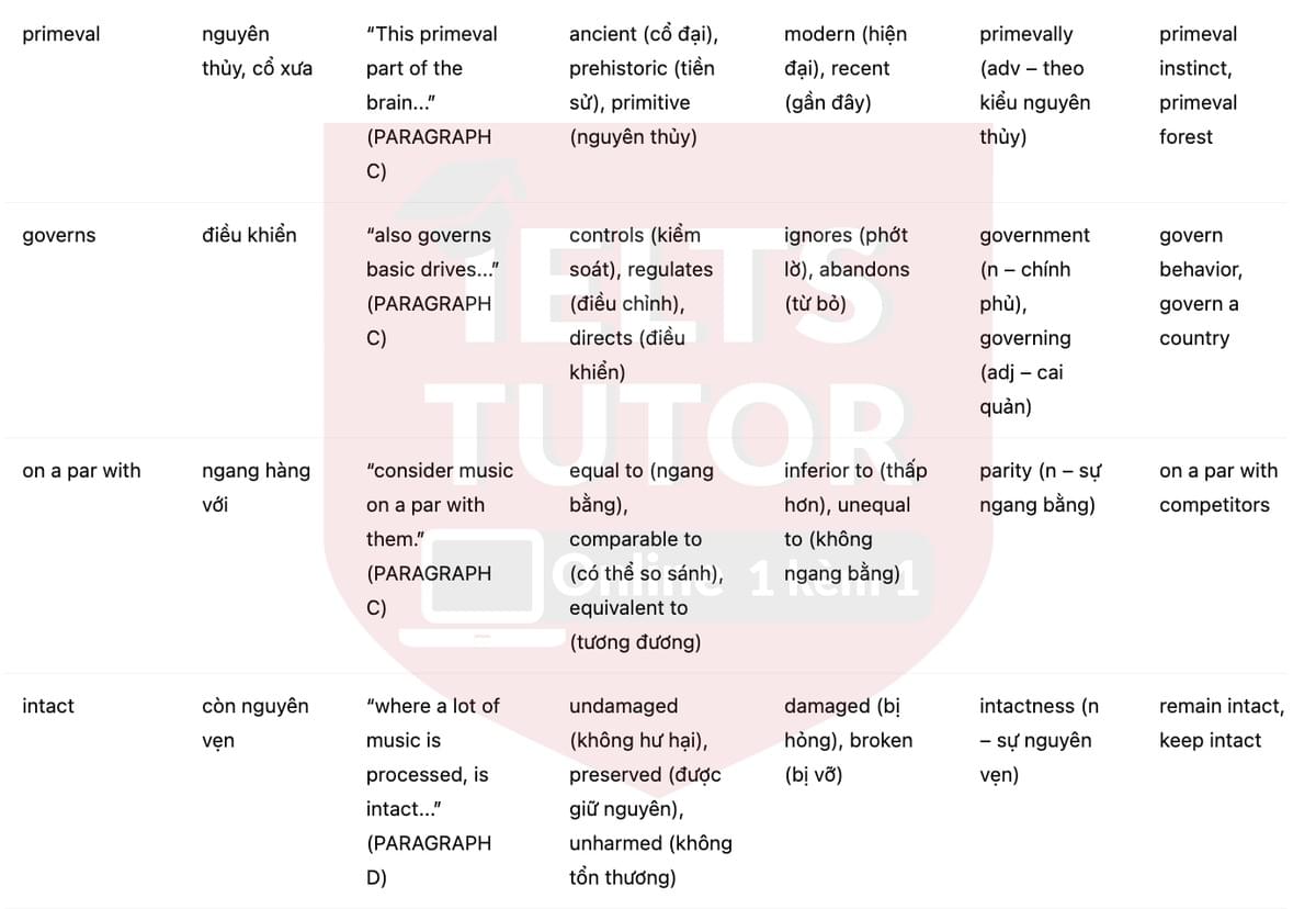 🔥Music soothes and awes - and may help us heal Answers with location - Đề luyện tập IELTS READING- Làm bài online format computer-based, kèm đáp án, dịch & giải thích từ vựng - cấu trúc ngữ pháp khó 🔥Music soothes and awes - and may help us heal Answers with location - Đề luyện tập IELTS READING- Làm bài online format computer-based, kèm đáp án, dịch & giải thích từ vựng - cấu trúc ngữ pháp khó