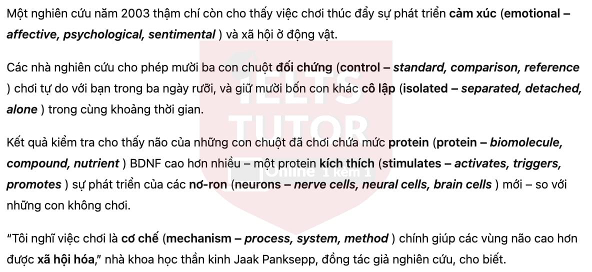 🔥The importance of being playful Answers with location - Đề thi thật IELTS READING- Làm bài online format computer-based, kèm đáp án, dịch & giải thích từ vựng - cấu trúc ngữ pháp khó 🔥The importance of being playful Answers with location - Đề thi thật IELTS READING- Làm bài online format computer-based, kèm đáp án, dịch & giải thích từ vựng - cấu trúc ngữ pháp khó