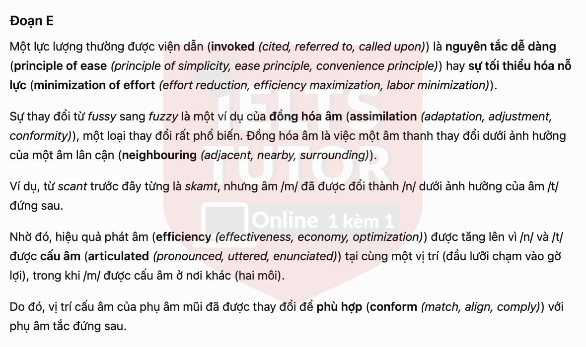 🔥The Cause of Linguistic Change Answers with location - Đề luyện tập IELTS READING- Làm bài online format computer-based, kèm đáp án, dịch & giải thích từ vựng - cấu trúc ngữ pháp khó 🔥The Cause of Linguistic Change Answers with location - Đề luyện tập IELTS READING- Làm bài online format computer-based, kèm đáp án, dịch & giải thích từ vựng - cấu trúc ngữ pháp khó