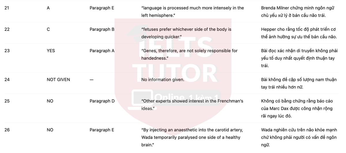 🔥Left-handed or Right-handed? Answers with location - Đề luyện tập IELTS READING- Làm bài online format computer-based, kèm đáp án, dịch & giải thích từ vựng - cấu trúc ngữ pháp khó 🔥Left-handed or Right-handed? Answers with location - Đề luyện tập IELTS READING- Làm bài online format computer-based, kèm đáp án, dịch & giải thích từ vựng - cấu trúc ngữ pháp khó