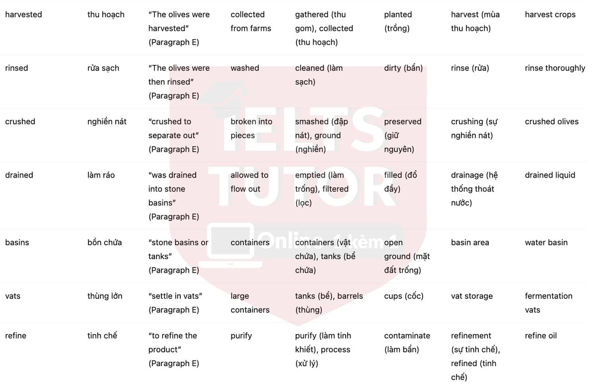 🔥The Early History of Olive Oil Answers with location - Đề luyện tập IELTS READING- Làm bài online format computer-based, kèm đáp án, dịch & giải thích từ vựng - cấu trúc ngữ pháp khó 🔥The Early History of Olive Oil Answers with location - Đề luyện tập IELTS READING- Làm bài online format computer-based, kèm đáp án, dịch & giải thích từ vựng - cấu trúc ngữ pháp khó