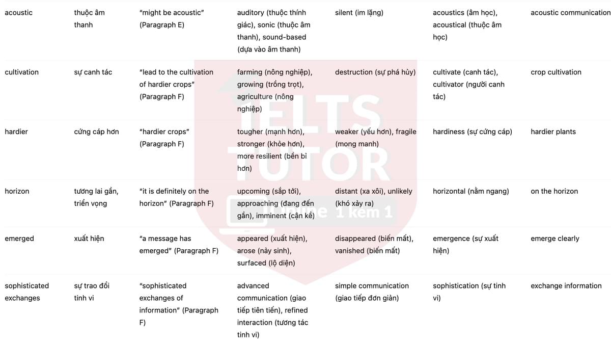 🔥How do plants talk to each other? Answers with location - Đề luyện tập IELTS READING- Làm bài online format computer-based, kèm đáp án, dịch & giải thích từ vựng - cấu trúc ngữ pháp khó 🔥How do plants talk to each other? Answers with location - Đề luyện tập IELTS READING- Làm bài online format computer-based, kèm đáp án, dịch & giải thích từ vựng - cấu trúc ngữ pháp khó