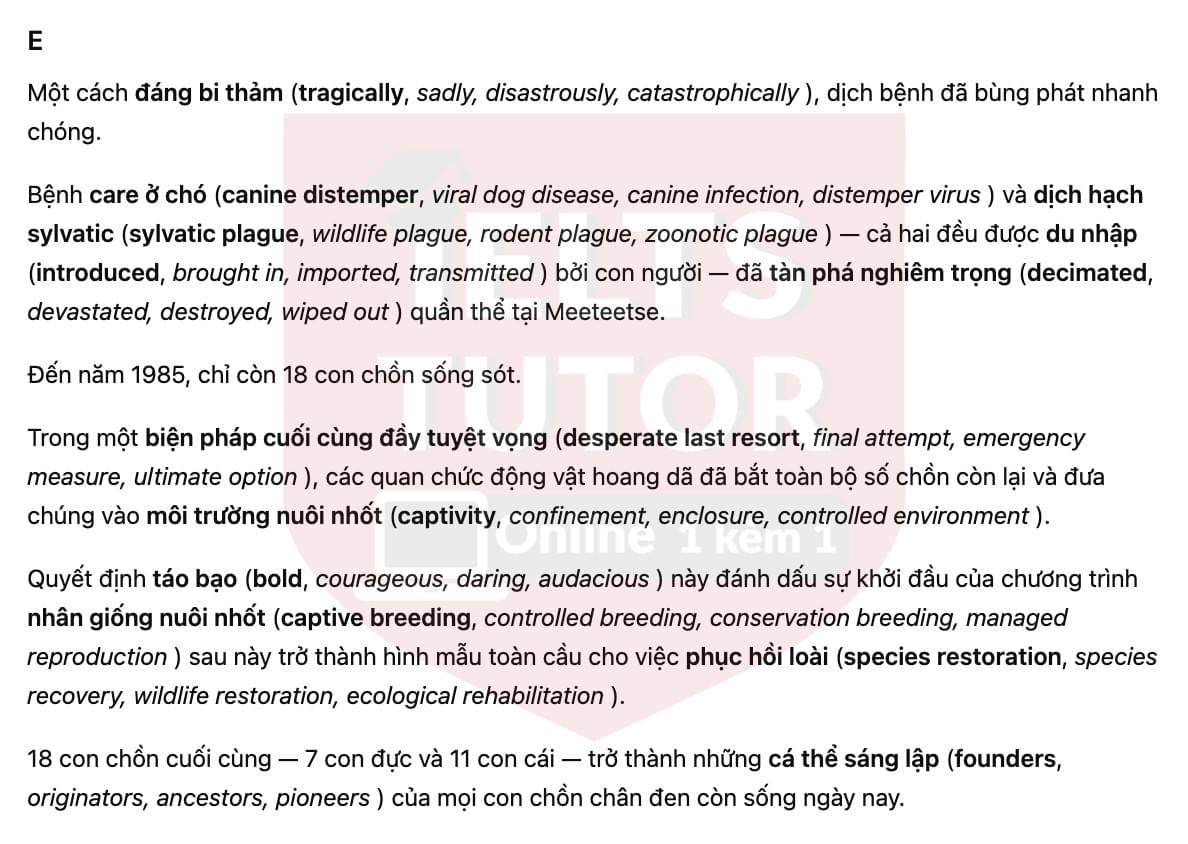 🔥The return of the black-footed ferret Answers with location - Đề luyện tập IELTS READING- Làm bài online format computer-based, kèm đáp án, dịch & giải thích từ vựng - cấu trúc ngữ pháp khó 🔥The return of the black-footed ferret Answers with location - Đề luyện tập IELTS READING- Làm bài online format computer-based, kèm đáp án, dịch & giải thích từ vựng - cấu trúc ngữ pháp khó