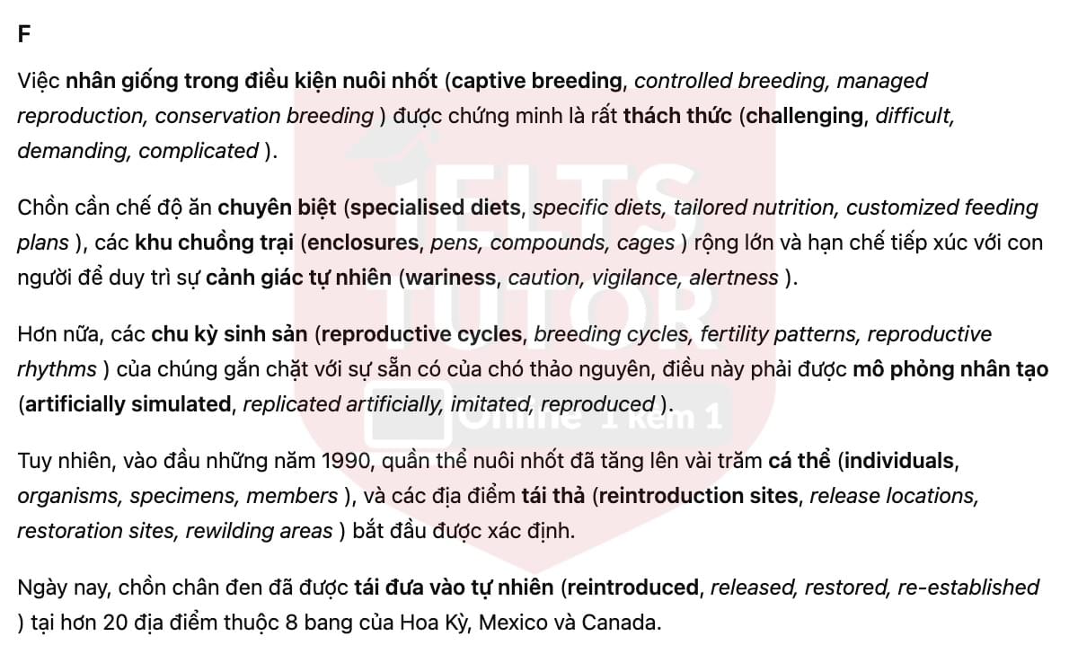 🔥The return of the black-footed ferret Answers with location - Đề luyện tập IELTS READING- Làm bài online format computer-based, kèm đáp án, dịch & giải thích từ vựng - cấu trúc ngữ pháp khó 🔥The return of the black-footed ferret Answers with location - Đề luyện tập IELTS READING- Làm bài online format computer-based, kèm đáp án, dịch & giải thích từ vựng - cấu trúc ngữ pháp khó