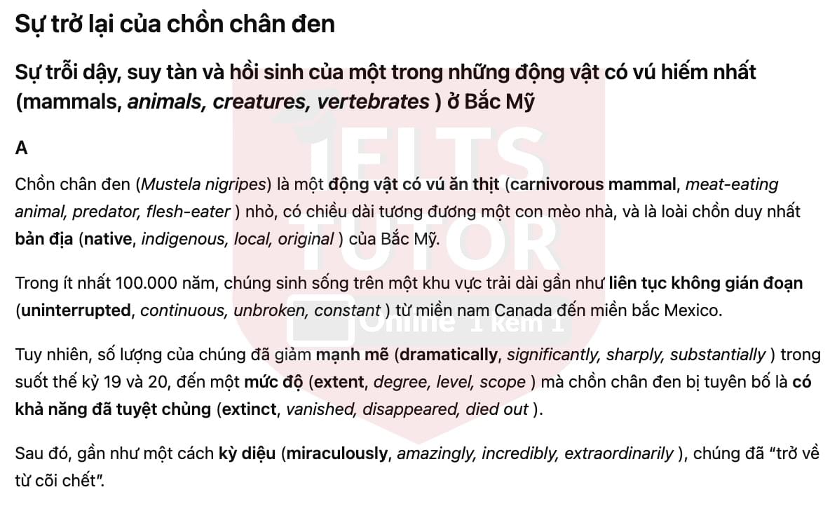 🔥The return of the black-footed ferret Answers with location - Đề luyện tập IELTS READING- Làm bài online format computer-based, kèm đáp án, dịch & giải thích từ vựng - cấu trúc ngữ pháp khó 🔥The return of the black-footed ferret Answers with location - Đề luyện tập IELTS READING- Làm bài online format computer-based, kèm đáp án, dịch & giải thích từ vựng - cấu trúc ngữ pháp khó