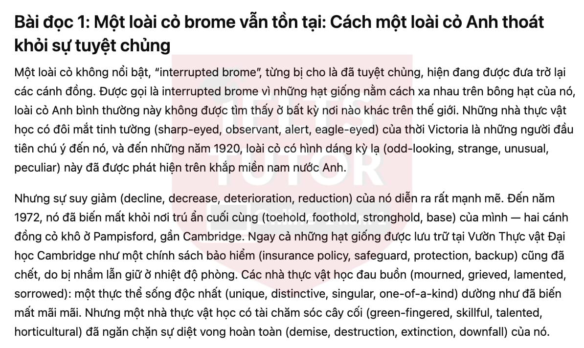 🔥A brome lives on: How a British grass escaped extinction Answers with location - Đề luyện tập IELTS READING- Làm bài online format computer-based, kèm đáp án, dịch & giải thích từ vựng - cấu trúc ngữ pháp khó 🔥A brome lives on: How a British grass escaped extinction Answers with location - Đề luyện tập IELTS READING- Làm bài online format computer-based, kèm đáp án, dịch & giải thích từ vựng - cấu trúc ngữ pháp khó