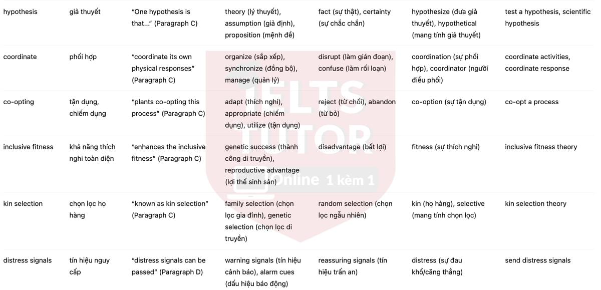 🔥How do plants talk to each other? Answers with location - Đề luyện tập IELTS READING- Làm bài online format computer-based, kèm đáp án, dịch & giải thích từ vựng - cấu trúc ngữ pháp khó 🔥How do plants talk to each other? Answers with location - Đề luyện tập IELTS READING- Làm bài online format computer-based, kèm đáp án, dịch & giải thích từ vựng - cấu trúc ngữ pháp khó