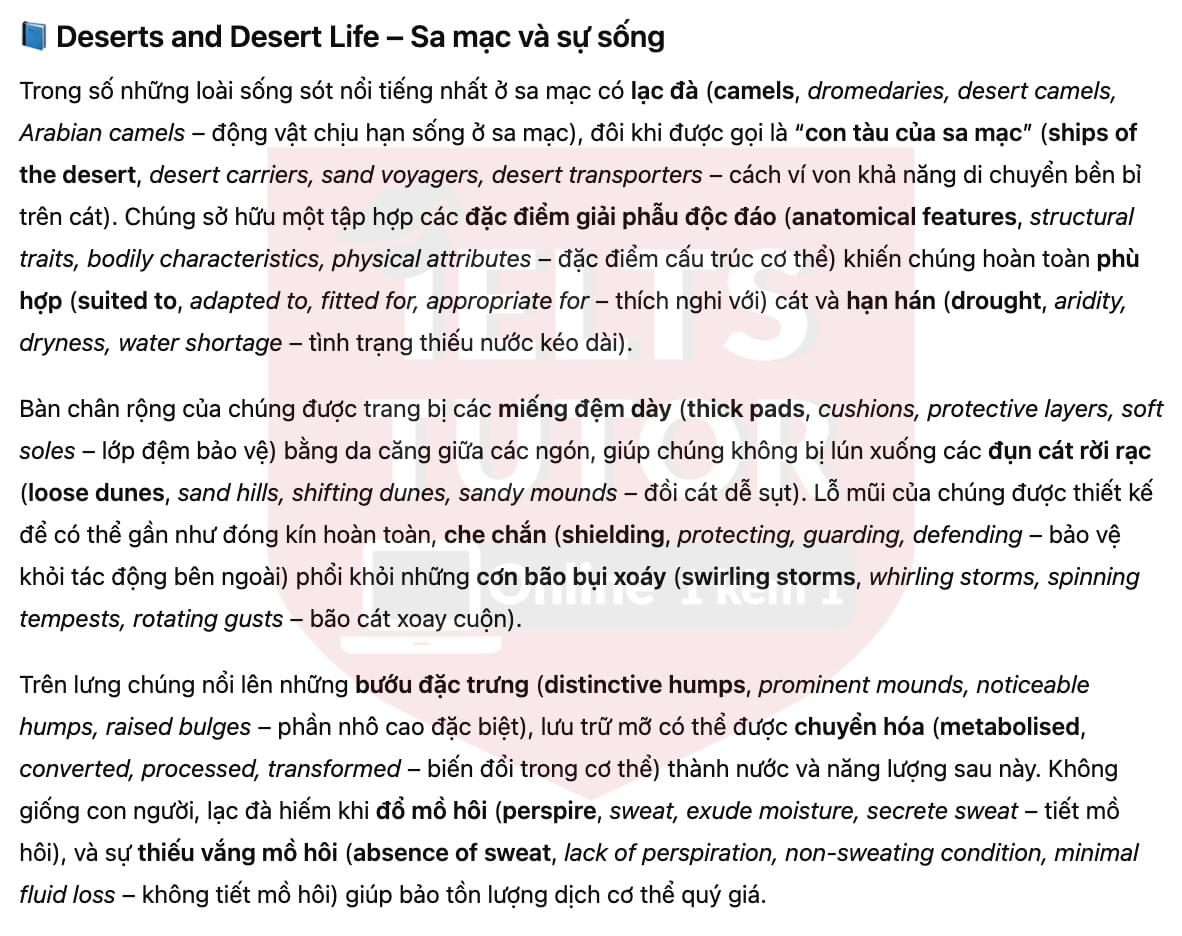 🔥Deserts and Desert Life Answers with location - Đề luyện tập IELTS READING- Làm bài online format computer-based, kèm đáp án, dịch & giải thích từ vựng - cấu trúc ngữ pháp khó 🔥Deserts and Desert Life Answers with location - Đề luyện tập IELTS READING- Làm bài online format computer-based, kèm đáp án, dịch & giải thích từ vựng - cấu trúc ngữ pháp khó