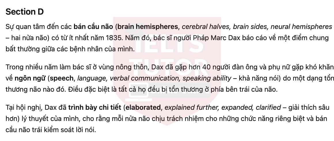 🔥Left-handed or Right-handed? Answers with location - Đề luyện tập IELTS READING- Làm bài online format computer-based, kèm đáp án, dịch & giải thích từ vựng - cấu trúc ngữ pháp khó 🔥Left-handed or Right-handed? Answers with location - Đề luyện tập IELTS READING- Làm bài online format computer-based, kèm đáp án, dịch & giải thích từ vựng - cấu trúc ngữ pháp khó