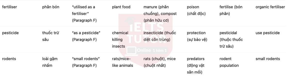 🔥The Early History of Olive Oil Answers with location - Đề luyện tập IELTS READING- Làm bài online format computer-based, kèm đáp án, dịch & giải thích từ vựng - cấu trúc ngữ pháp khó 🔥The Early History of Olive Oil Answers with location - Đề luyện tập IELTS READING- Làm bài online format computer-based, kèm đáp án, dịch & giải thích từ vựng - cấu trúc ngữ pháp khó