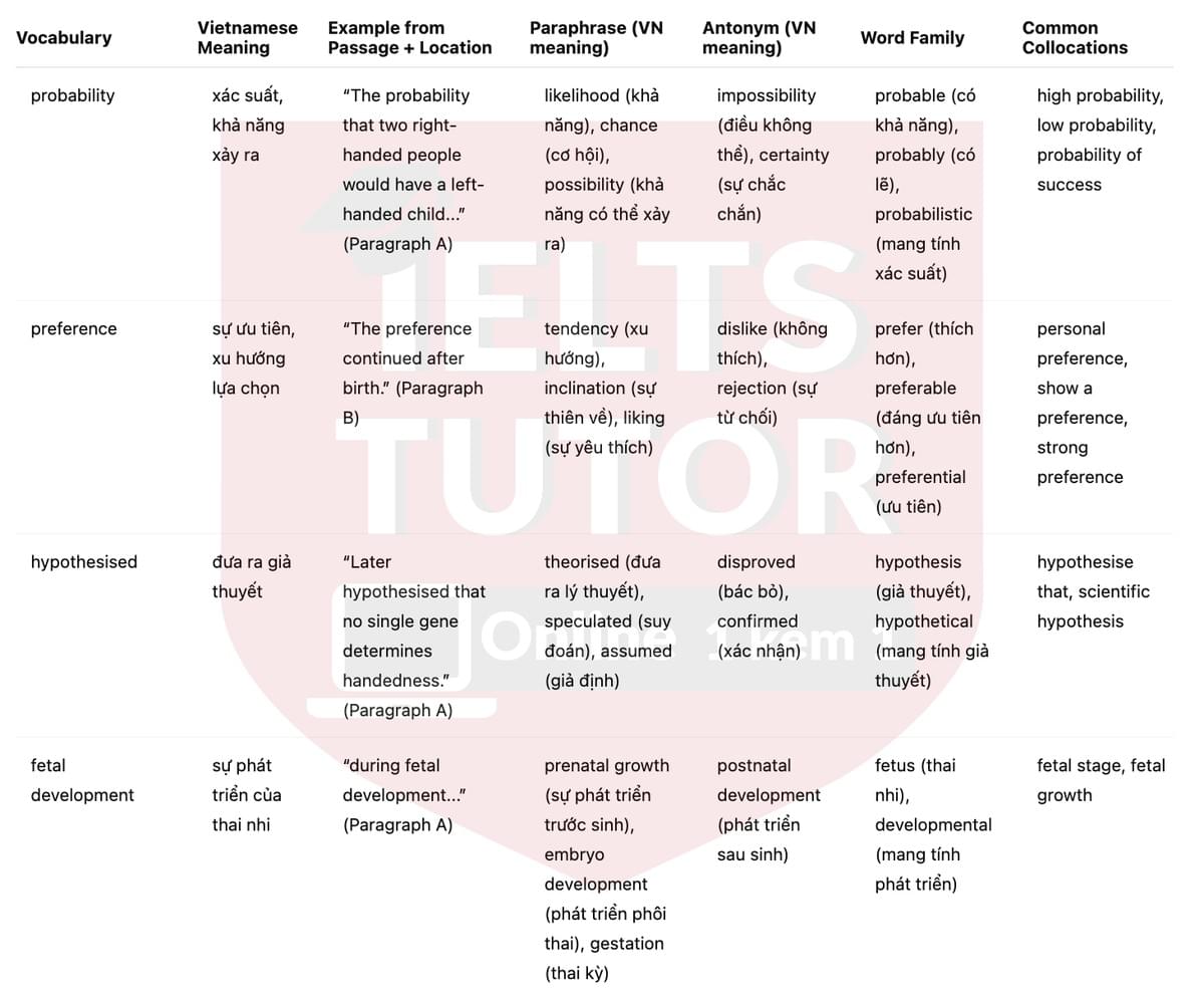 🔥Left-handed or Right-handed? Answers with location - Đề luyện tập IELTS READING- Làm bài online format computer-based, kèm đáp án, dịch & giải thích từ vựng - cấu trúc ngữ pháp khó 🔥Left-handed or Right-handed? Answers with location - Đề luyện tập IELTS READING- Làm bài online format computer-based, kèm đáp án, dịch & giải thích từ vựng - cấu trúc ngữ pháp khó
