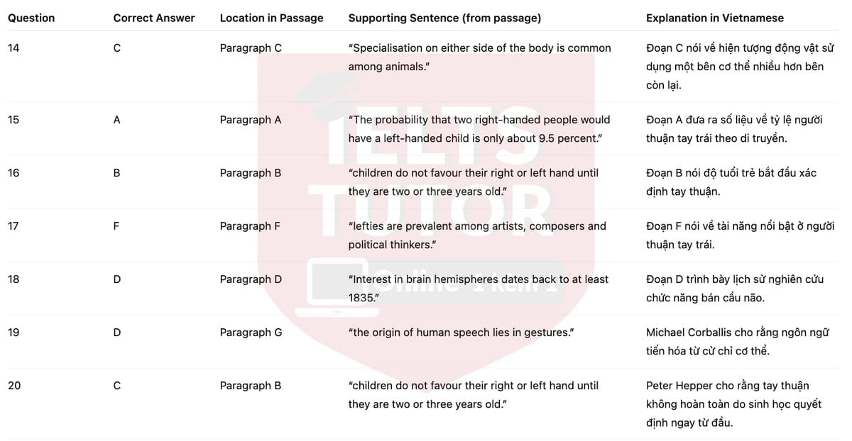 🔥Left-handed or Right-handed? Answers with location - Đề luyện tập IELTS READING- Làm bài online format computer-based, kèm đáp án, dịch & giải thích từ vựng - cấu trúc ngữ pháp khó 🔥Left-handed or Right-handed? Answers with location - Đề luyện tập IELTS READING- Làm bài online format computer-based, kèm đáp án, dịch & giải thích từ vựng - cấu trúc ngữ pháp khó