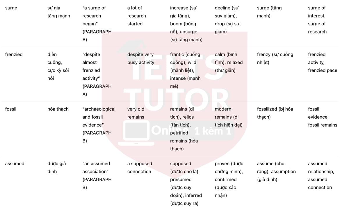 🔥The origin of language Answers with location - Đề luyện tập IELTS READING- Làm bài online format computer-based, kèm đáp án, dịch & giải thích từ vựng - cấu trúc ngữ pháp khó 🔥The origin of language Answers with location - Đề luyện tập IELTS READING- Làm bài online format computer-based, kèm đáp án, dịch & giải thích từ vựng - cấu trúc ngữ pháp khó