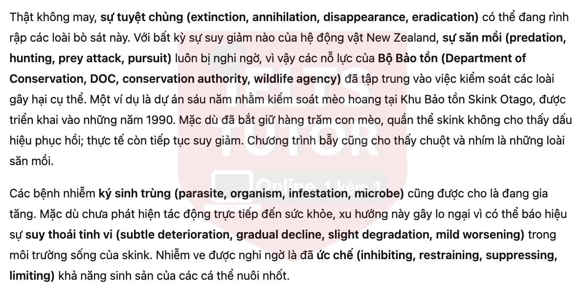 🔥Saving the Skink Answers with location - Đề luyện tập IELTS READING- Làm bài online format computer-based, kèm đáp án, dịch & giải thích từ vựng - cấu trúc ngữ pháp khó 🔥Saving the Skink Answers with location - Đề luyện tập IELTS READING- Làm bài online format computer-based, kèm đáp án, dịch & giải thích từ vựng - cấu trúc ngữ pháp khó
