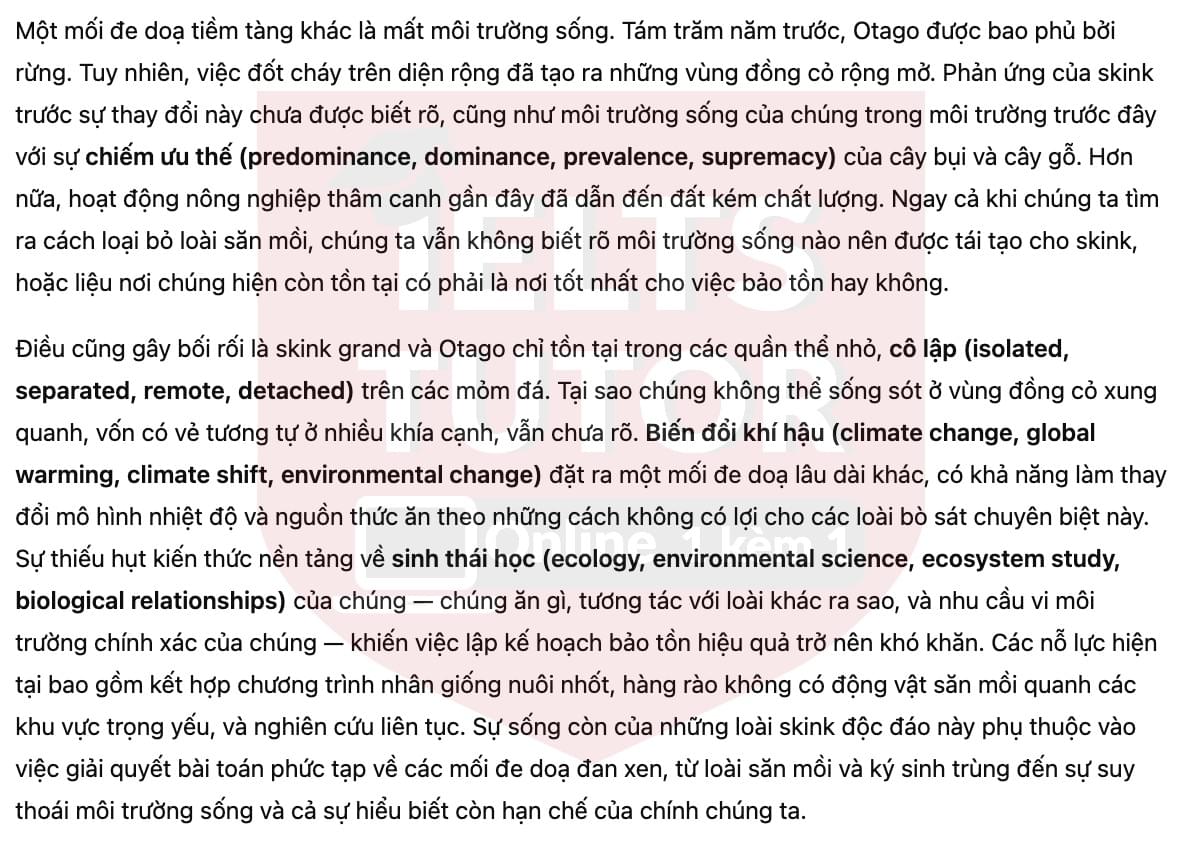 🔥Saving the Skink Answers with location - Đề luyện tập IELTS READING- Làm bài online format computer-based, kèm đáp án, dịch & giải thích từ vựng - cấu trúc ngữ pháp khó 🔥Saving the Skink Answers with location - Đề luyện tập IELTS READING- Làm bài online format computer-based, kèm đáp án, dịch & giải thích từ vựng - cấu trúc ngữ pháp khó