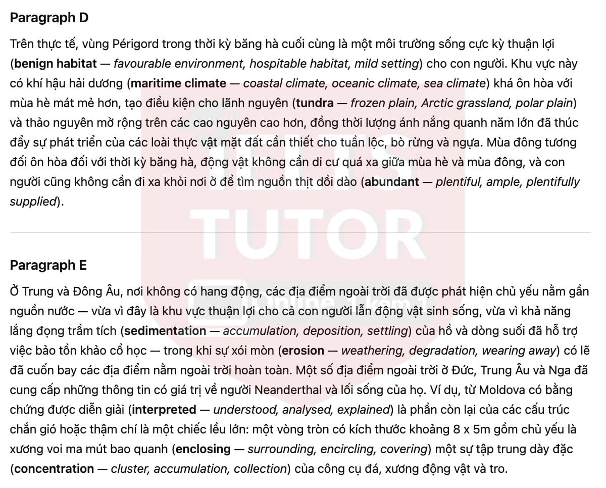 🔥Neanderthal Technology Answers with location - Đề luyện tập IELTS READING- Làm bài online format computer-based, kèm đáp án, dịch & giải thích từ vựng - cấu trúc ngữ pháp khó 🔥Neanderthal Technology Answers with location - Đề luyện tập IELTS READING- Làm bài online format computer-based, kèm đáp án, dịch & giải thích từ vựng - cấu trúc ngữ pháp khó