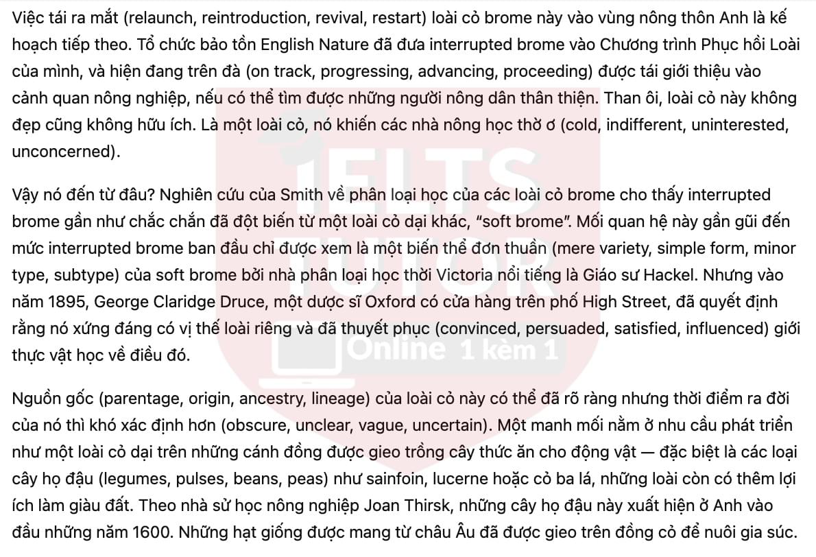 🔥A brome lives on: How a British grass escaped extinction Answers with location - Đề luyện tập IELTS READING- Làm bài online format computer-based, kèm đáp án, dịch & giải thích từ vựng - cấu trúc ngữ pháp khó 🔥A brome lives on: How a British grass escaped extinction Answers with location - Đề luyện tập IELTS READING- Làm bài online format computer-based, kèm đáp án, dịch & giải thích từ vựng - cấu trúc ngữ pháp khó