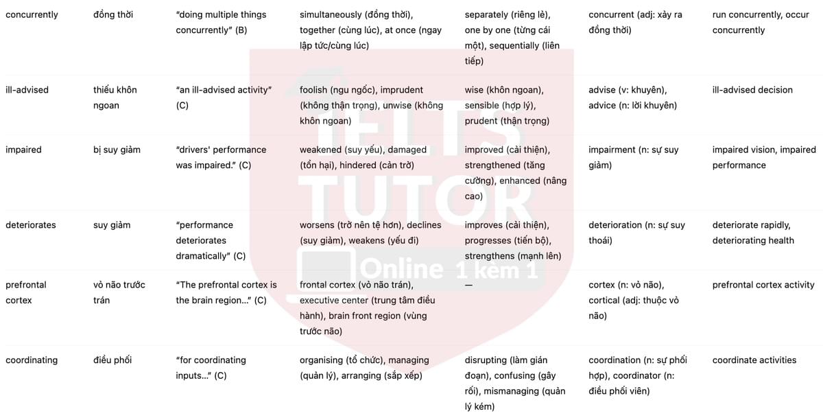 🔥Multi-tasking and the brain Answers with location - Đề luyện tập IELTS READING- Làm bài online format computer-based, kèm đáp án, dịch & giải thích từ vựng - cấu trúc ngữ pháp khó 🔥Multi-tasking and the brain Answers with location - Đề luyện tập IELTS READING- Làm bài online format computer-based, kèm đáp án, dịch & giải thích từ vựng - cấu trúc ngữ pháp khó
