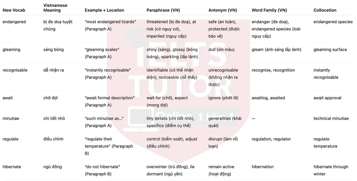 🔥Saving the Skink Answers with location - Đề luyện tập IELTS READING- Làm bài online format computer-based, kèm đáp án, dịch & giải thích từ vựng - cấu trúc ngữ pháp khó 🔥Saving the Skink Answers with location - Đề luyện tập IELTS READING- Làm bài online format computer-based, kèm đáp án, dịch & giải thích từ vựng - cấu trúc ngữ pháp khó