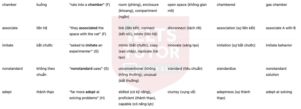 🔥The importance of being playful Answers with location - Đề thi thật IELTS READING- Làm bài online format computer-based, kèm đáp án, dịch & giải thích từ vựng - cấu trúc ngữ pháp khó 🔥The importance of being playful Answers with location - Đề thi thật IELTS READING- Làm bài online format computer-based, kèm đáp án, dịch & giải thích từ vựng - cấu trúc ngữ pháp khó