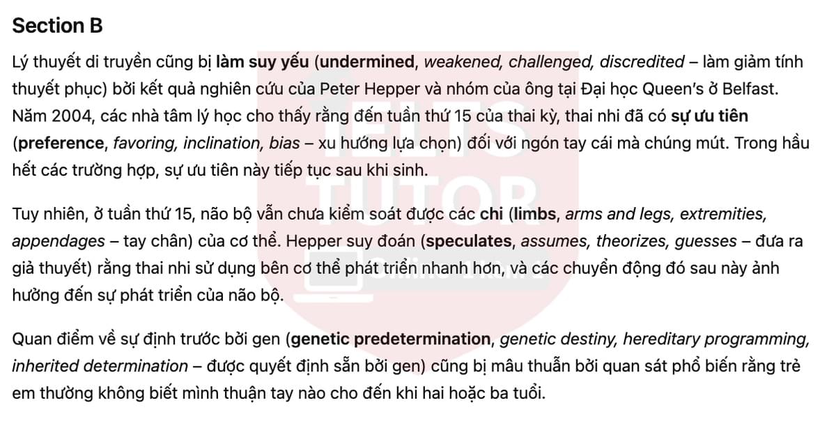 🔥Left-handed or Right-handed? Answers with location - Đề luyện tập IELTS READING- Làm bài online format computer-based, kèm đáp án, dịch & giải thích từ vựng - cấu trúc ngữ pháp khó 🔥Left-handed or Right-handed? Answers with location - Đề luyện tập IELTS READING- Làm bài online format computer-based, kèm đáp án, dịch & giải thích từ vựng - cấu trúc ngữ pháp khó